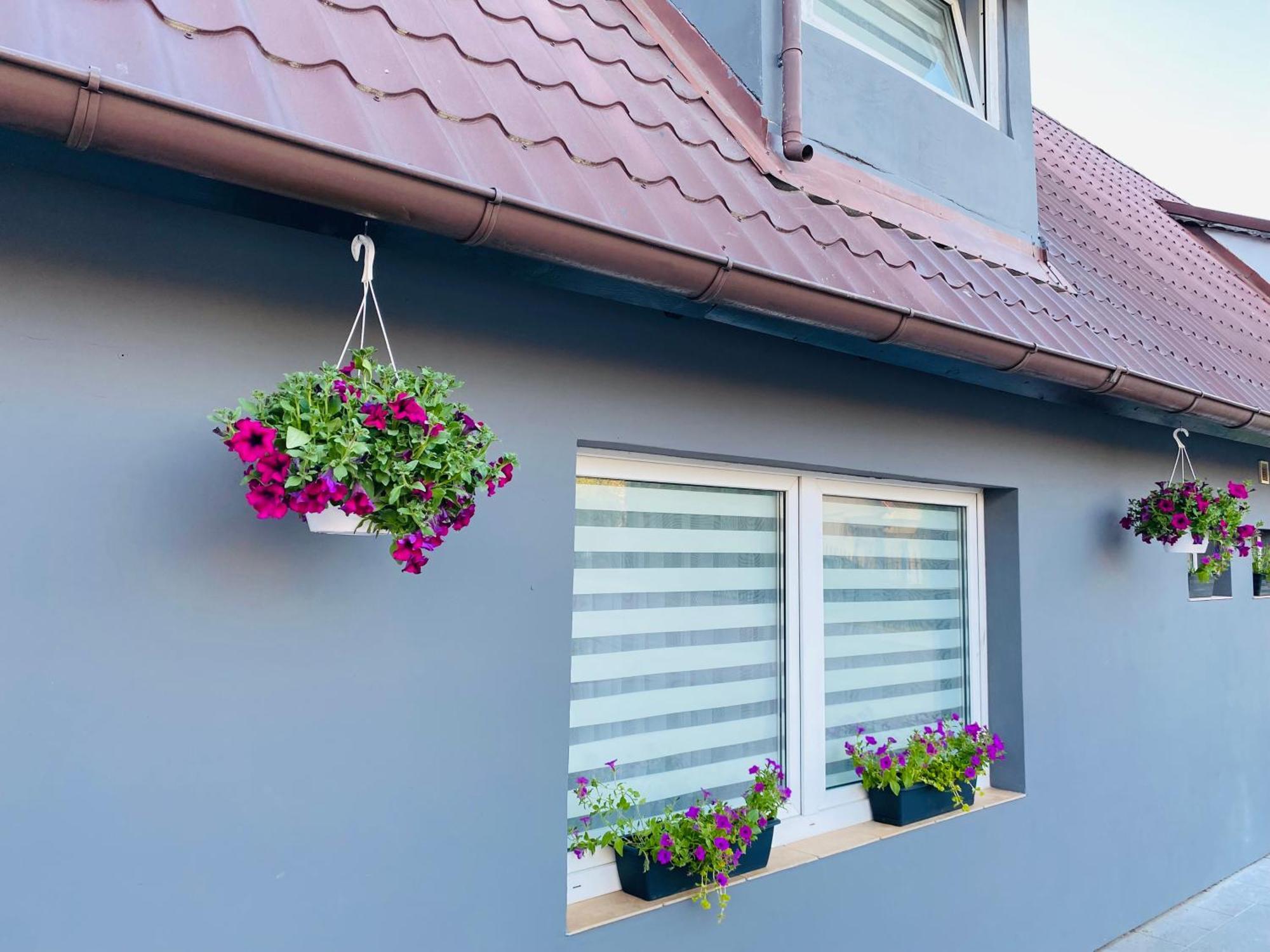 Apartamenty Pod Wieza 1 Olsztynek Exterior foto
